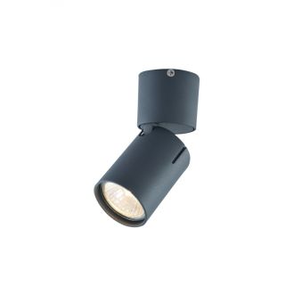 Накладной светильник Vele Luce VL8067S01