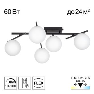 Накладная люстра Citilux Dorsy CL223152, LED 60 Вт, черный/белый