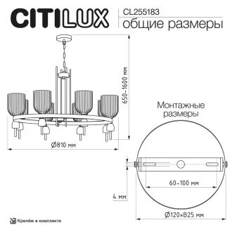 Подвесная люстра Citilux Carson CL255183, 8×E14 по 60 Вт, латунный/прозрачный