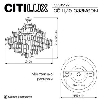Подвесная люстра Citilux Naiad CL315192, 25×E14 по 40 Вт, золотой/прозрачный