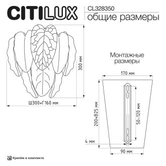 Бра Citilux Hasienda CL328350, 5×G9 по 40 Вт, золотой/белый, флористика стиль