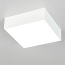Накладной светильник Citilux Тао CL712X120N, LED 12 Вт, белый Накладной светильник Citilux Тао CL712X120N, LED 12 Вт, белый