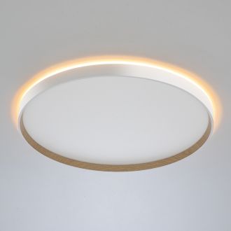 Накладной светильник Citilux Etalon CL750500R, LED 50 Вт, белый