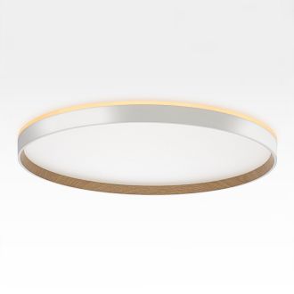 Накладной светильник Citilux Etalon CL750500R, LED 50 Вт, белый