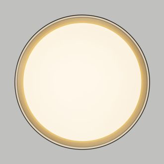 Накладной светильник Citilux Boss CL751351G, LED 48 Вт, белый/черный