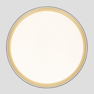 Накладной светильник Citilux Boss CL751451G, LED 68 Вт, белый/черный