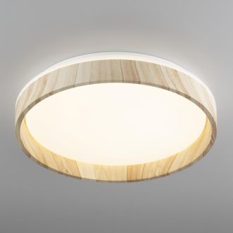Накладной светильник Citilux Enzo CL753352G, LED 48 Вт, белый