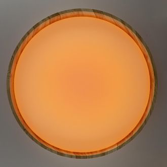 Накладной светильник Citilux Enzo CL753452G, LED 68 Вт, белый/коричневый