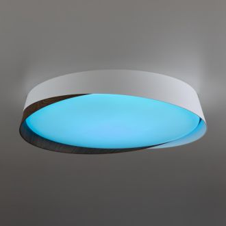 Накладной светильник Citilux Bonny CL754350G, LED 48 Вт, белый