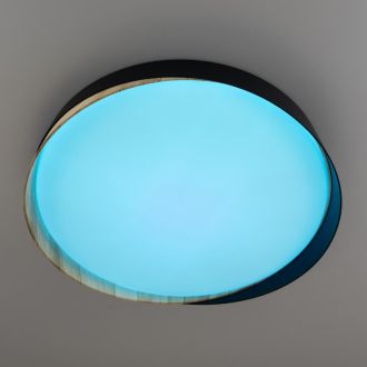 Накладной светильник Citilux Bonny CL754351G, LED 48 Вт, белый/черный