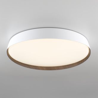Накладной светильник Citilux Bonny CL754450G, LED 68 Вт, белый