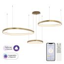 Каскадная люстра Citilux Genka smart CL756A092, LED 240 Вт, золотой/белый