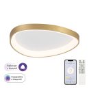 Накладной светильник Citilux Genka smart CL756A142, LED 55 Вт, золотой/белый