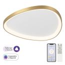 Накладной светильник Citilux Genka smart CL756A162, LED 80 Вт, золотой/белый