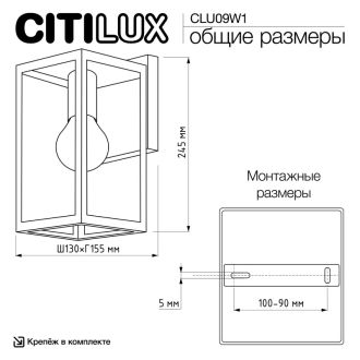 Светильник настенный Citilux Forts CLU09W1, E27, 40 Вт, черный/прозрачный