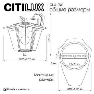 Светильник настенный Citilux Forts CLU10W, E27, 40 Вт, черный/прозрачный
