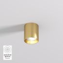 DK2610-SB Накладной светильник SHINE TUBE со светодиодом, D70*H80, IP20, 3000К, 10W, RA≥90, сатинированная латунь, алюминий