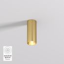 DK2615-SB Накладной светильник SHINE TUBE со светодиодом, D45*H115, IP20, 3000К, 7W, RA≥90, сатинированная латунь, алюминий
