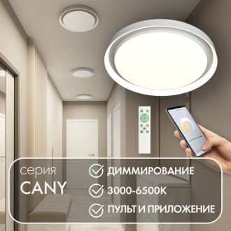 DK6516-WH Накладной светильник со встроенным светодиодом, 50W, IP 20, 3000K - 6500K, управление пульт Д/У (в комплекте) и Wi-Fi 2,4 Ггц. Эко система Tuya Smart, Яндекс.Алиса, белый, металл, полимер