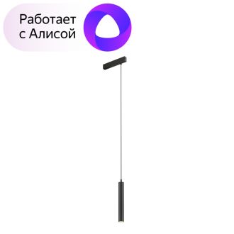 DK8008-BK Подвесной светильник SMART HANG 9W DIM 2700K-6000K черный