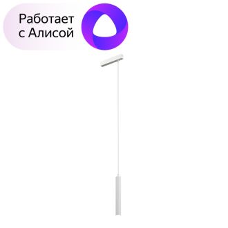 DK8008-WH Подвесной светильник SMART HANG 9W DIM 2700K-6000K белый