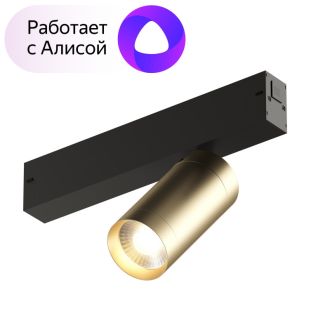 DK8010-BG Акцентный светильник SMART SPOT 9W DIM 3000K-6000K, матовое золото с черным