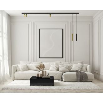 DK8010-BG Акцентный светильник SMART SPOT 9W DIM 3000K-6000K, матовое золото с черным
