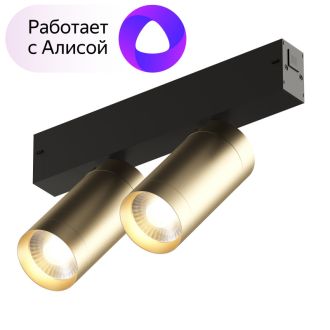DK8012-BG Акцентный светильник SMART SPOT DOUBLE 2x9W DIM 3000K-6000K, матовое золото с черным
