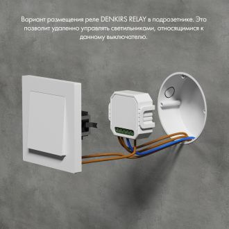 RL1001-SM/1 Одноканальное Wi-Fi реле-выключатель 1 x 2300 Вт / 250 Вт для LED