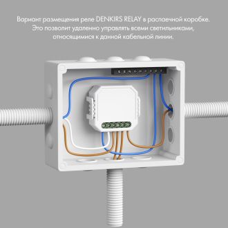 RL1004-DM/1 Двухканальное Wi-Fi реле-диммер 2 x 100 Вт