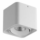 Влагозащищенный светильник Lightstar 052116 Влагозащищенный светильник Lightstar 052116