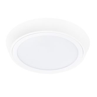 Влагозащищенный светильник Lightstar 216902