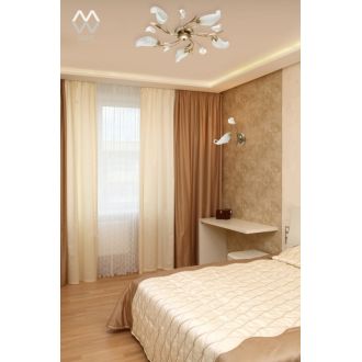 Накладная люстра MW-Light 242016205