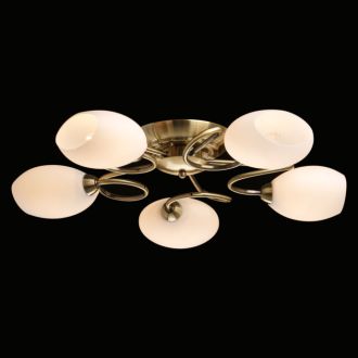 Накладная люстра MW-Light 267011805