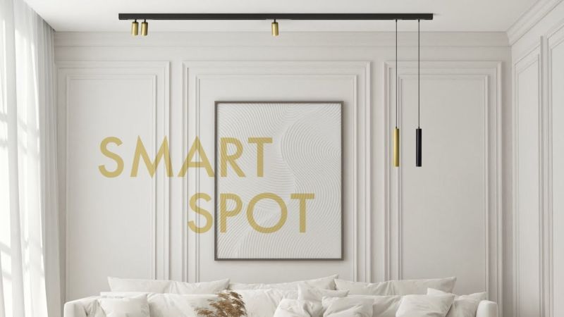 Видео: DK8041-BW+BK Акцентный светильник SMART SPOT 20W DIM 3000K-6000K, черный с белым, алюминий